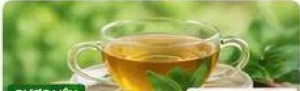 Trà thảo mộc: Cách lựa chọn và sử dụng phù hợp