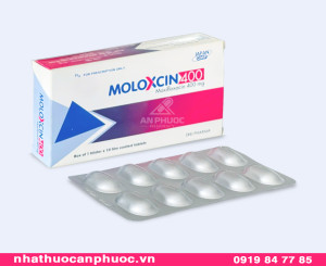 Thuốc Moloxcin® 400mg ( Moxifloxacin ) - Hộp 10v