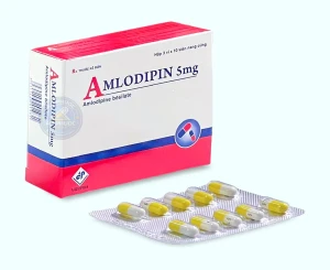 Thuốc Amlodipin 5mg (Vidipha) | Hộp 30v