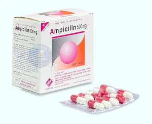 Thuốc Ampicillin 500mg ( vidipha ) | Hộp 100v