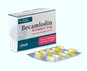 Thuốc Becamlodin 5mg ( amlodipin ) | Hộp 30v