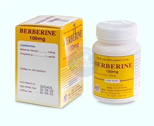 Thuốc Berberine 100mg ( Mekophar ) - Hộp 1 chai x 100 viên