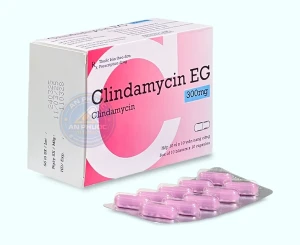 Thuốc Clindamycin EG® 300mg | Hộp 100v