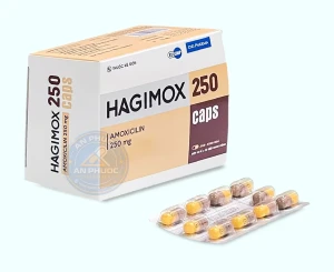 Thuốc Hagimox® 250mg ( amoxcillin ) - Hộp 100v