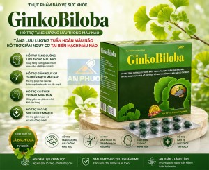 Viên bỗ não GinkoBiloba® Vinaphar | Hộp 10 vỉ x 10 VNM